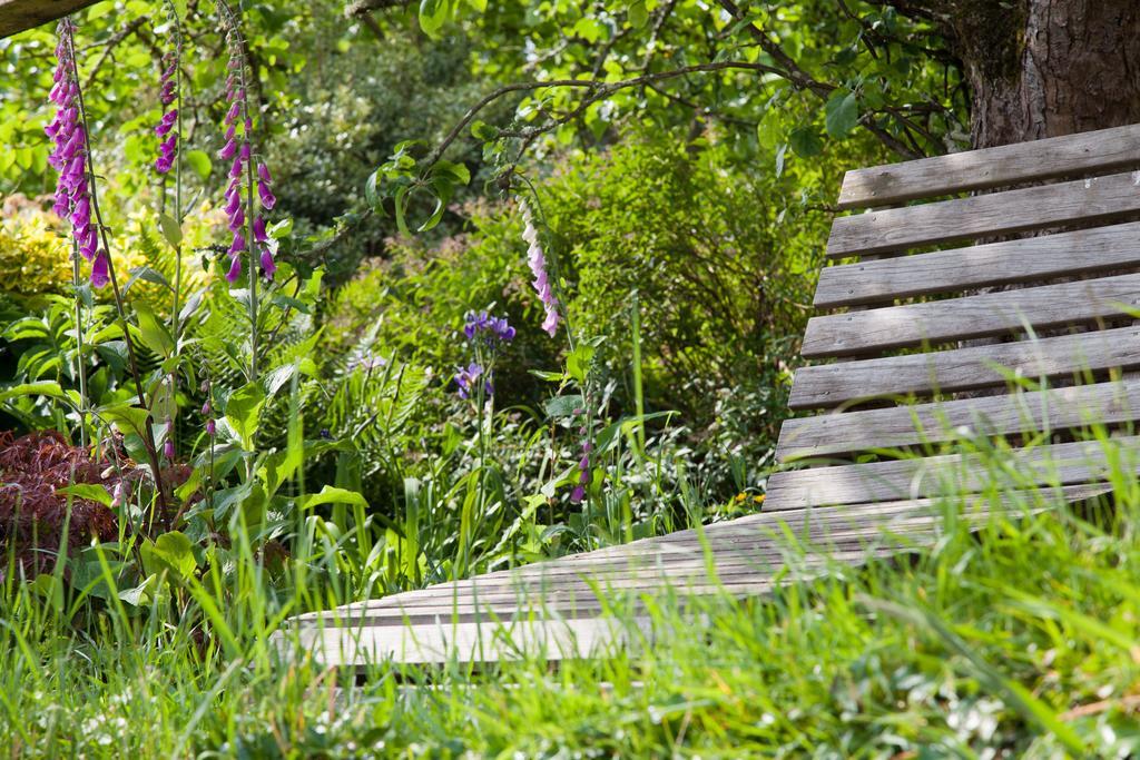 Glebe Farm B&B Kingsbridge  Eksteriør bilde