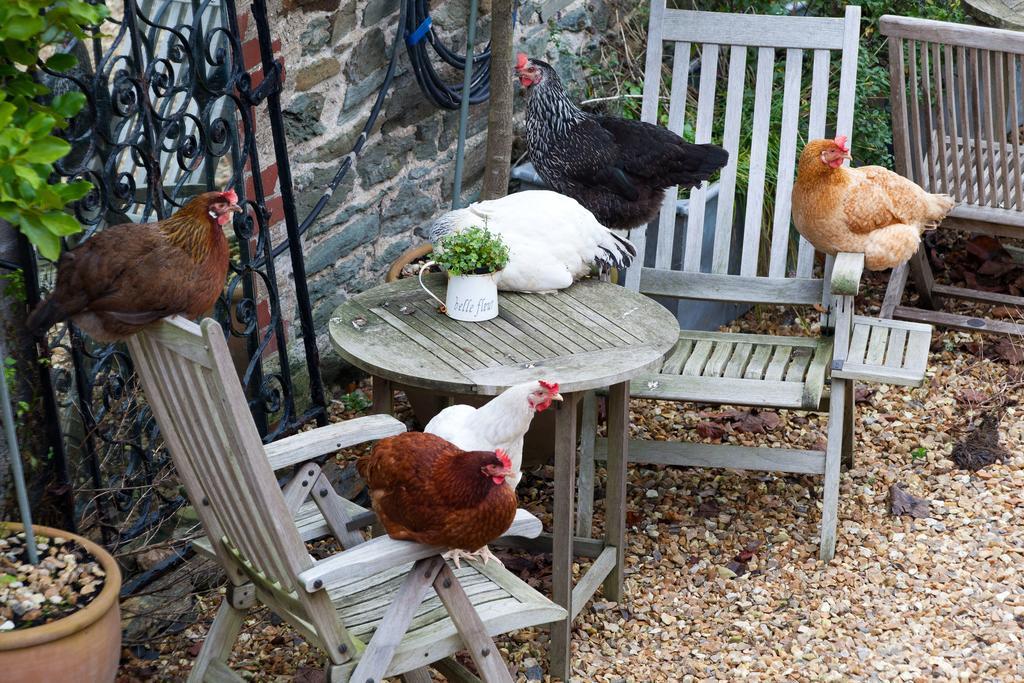 Glebe Farm B&B Kingsbridge  Eksteriør bilde