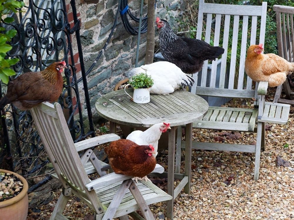 Glebe Farm B&B Kingsbridge  Eksteriør bilde